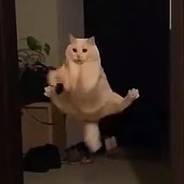 蒙鼓人