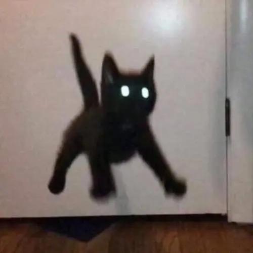 𝑫𝒆𝒎𝒐𝒏𝒔