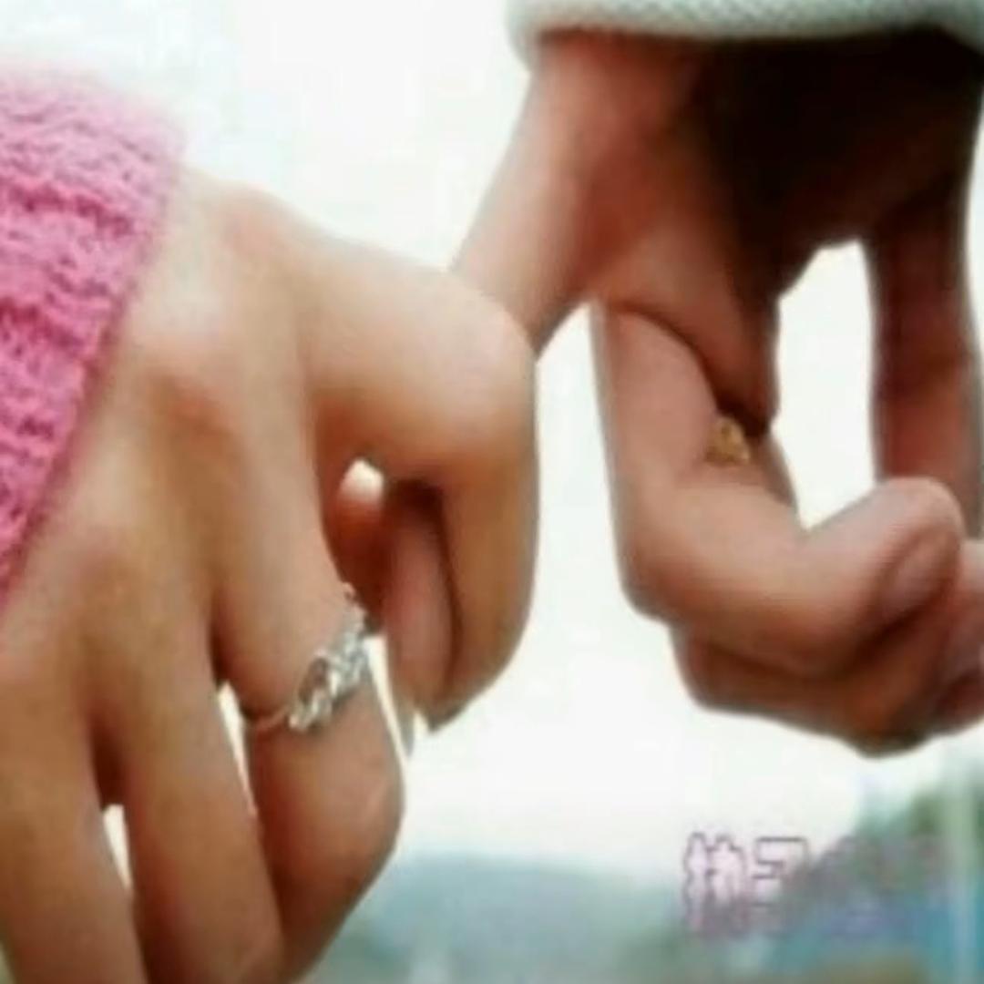 出售各种过度牛（牛经纪人）