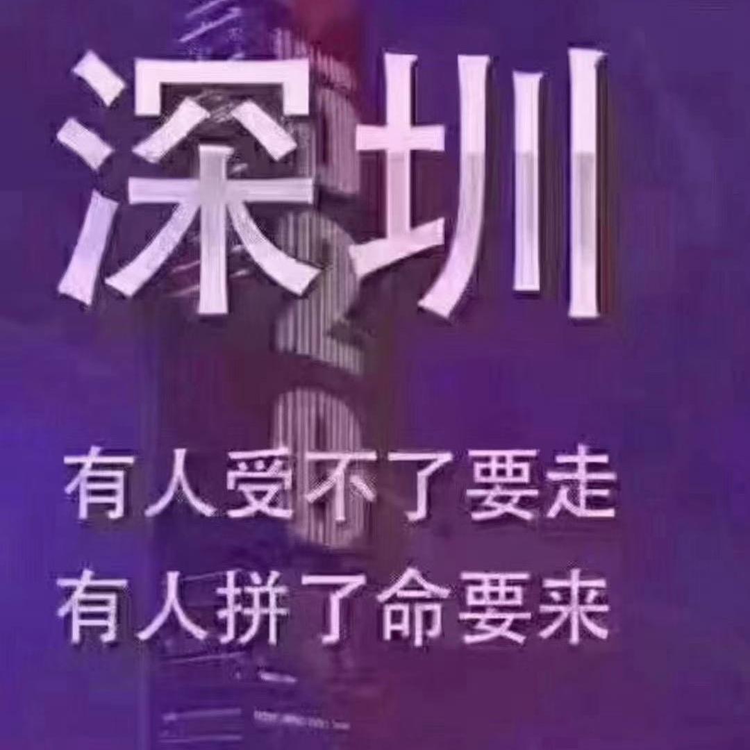 专注哥