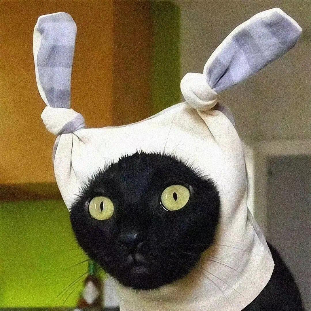 走街串巷