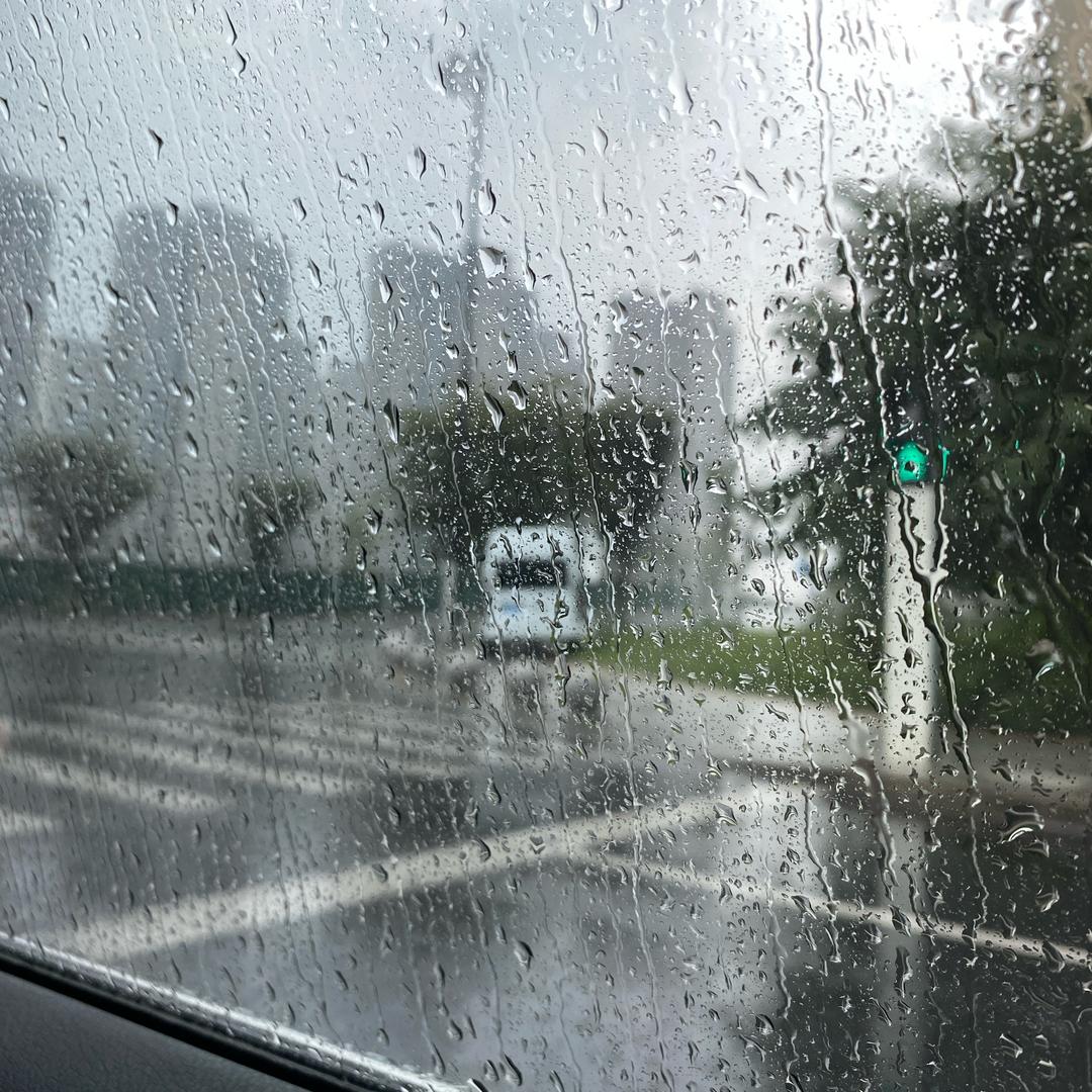 阆苑传奇直播版