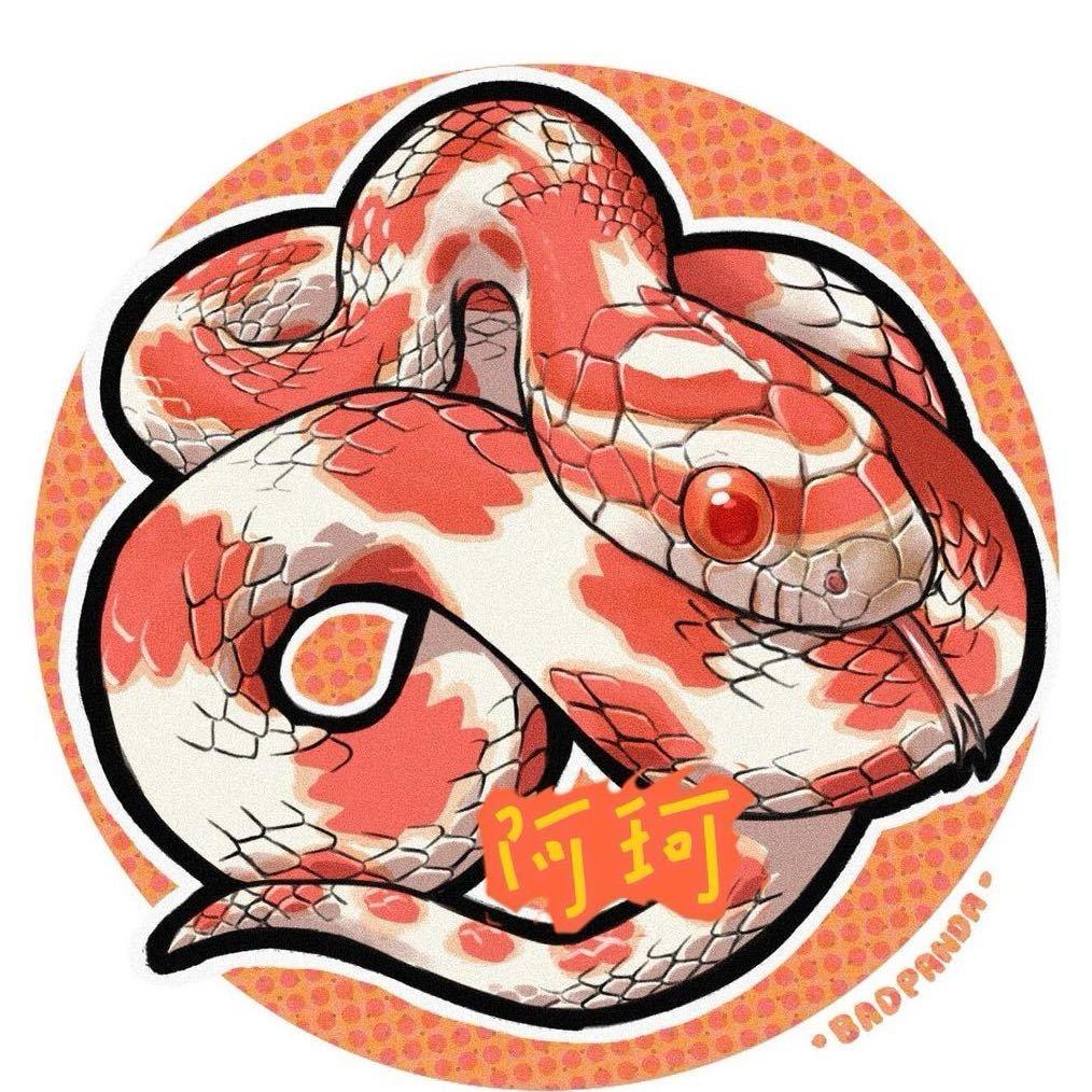 阿珂