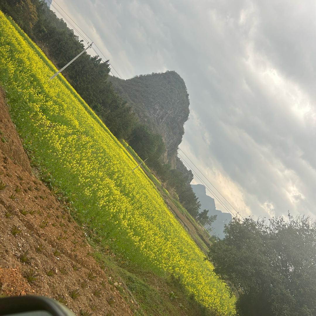 阿大