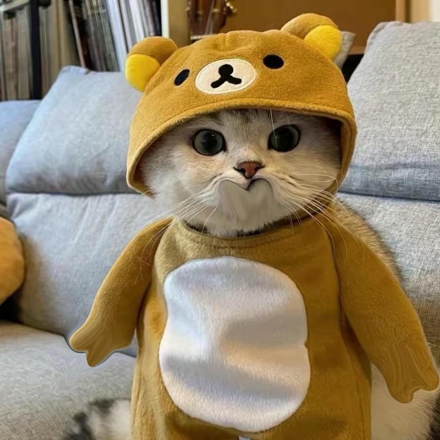 柒柒*