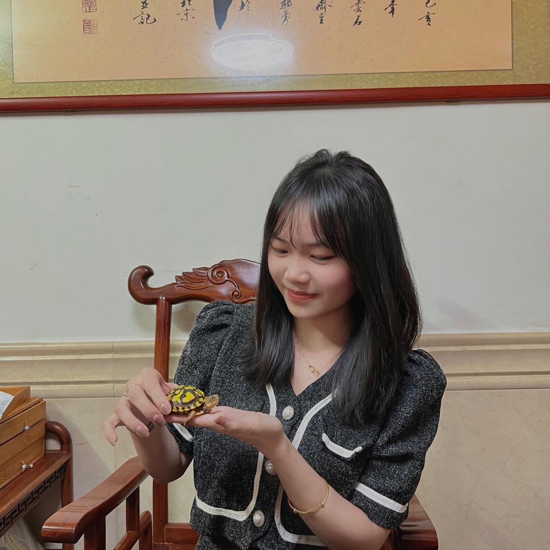 万盛龟宠