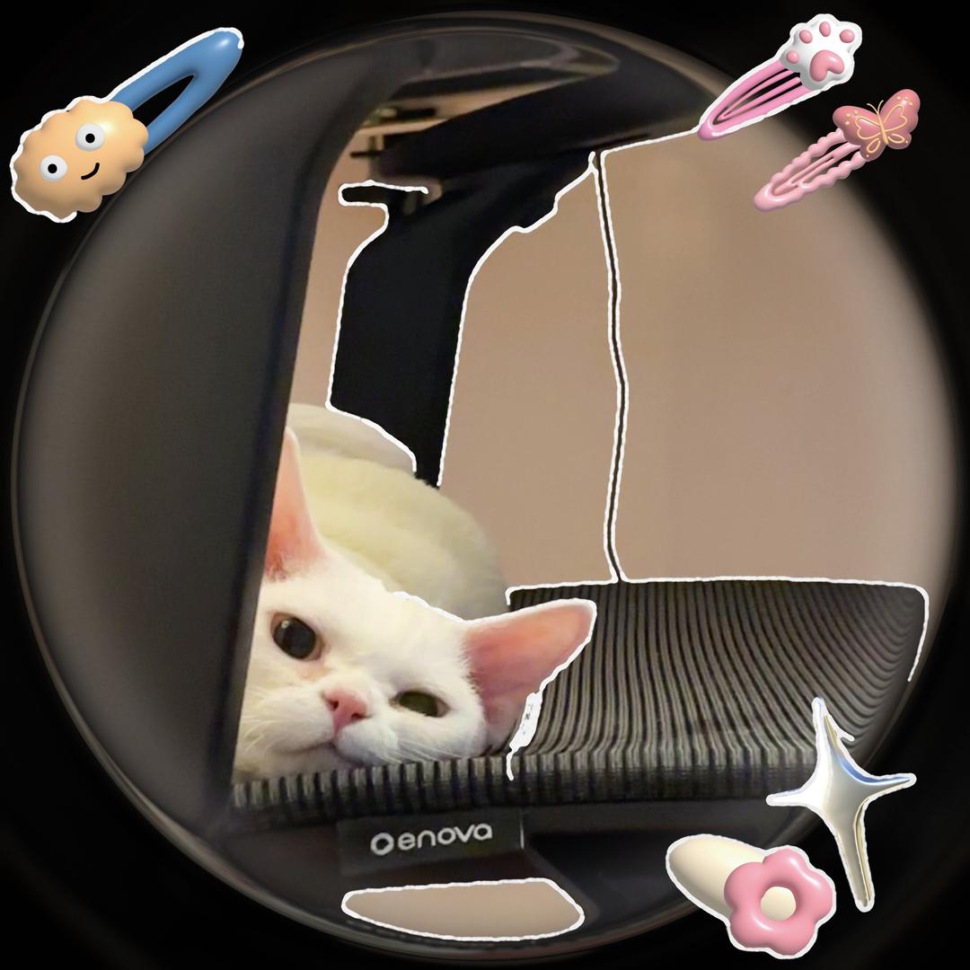 AA纯情火辣母蟑螂