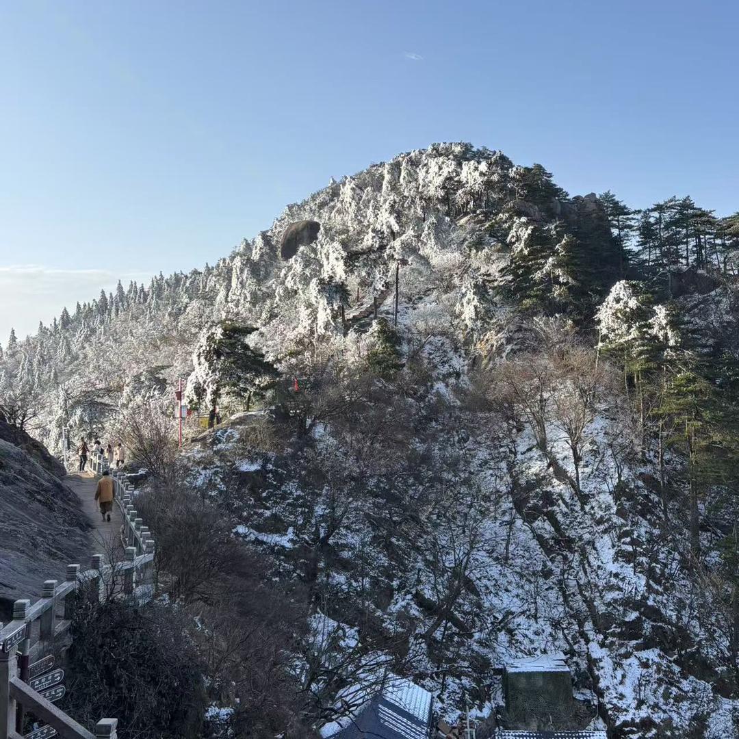 🔥蒙娜丽莎瓷砖．恒洁卫浴．卢森地板