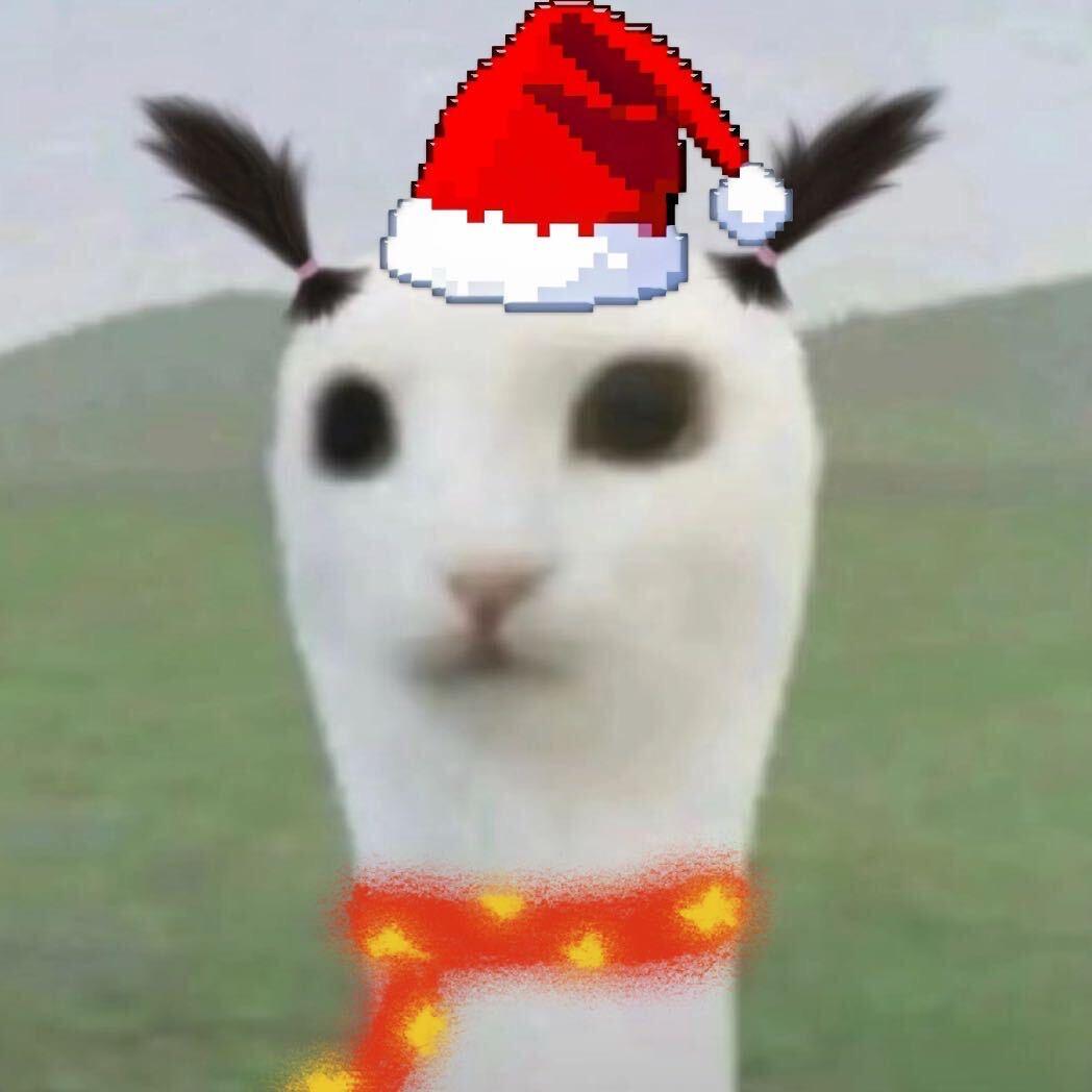 忧郁双马尾🦔