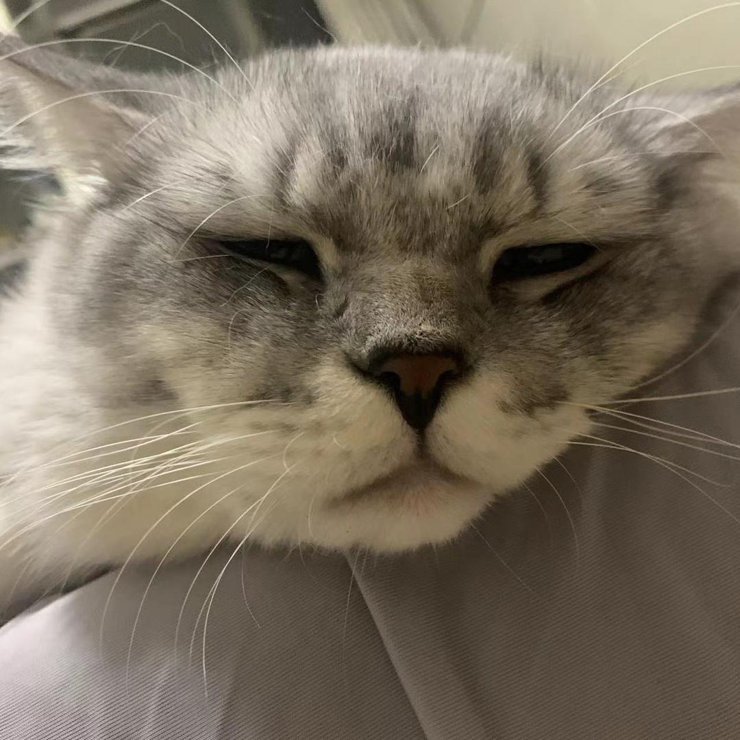 不要问我为什么