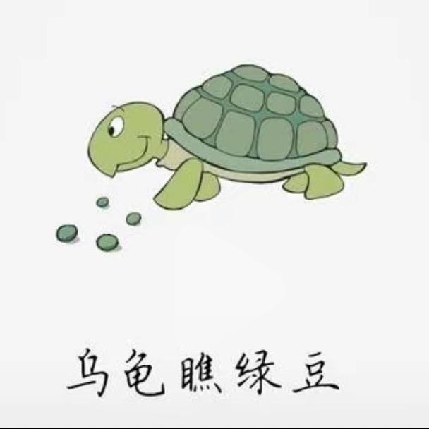 卖甲鱼的小女孩亚森农产品