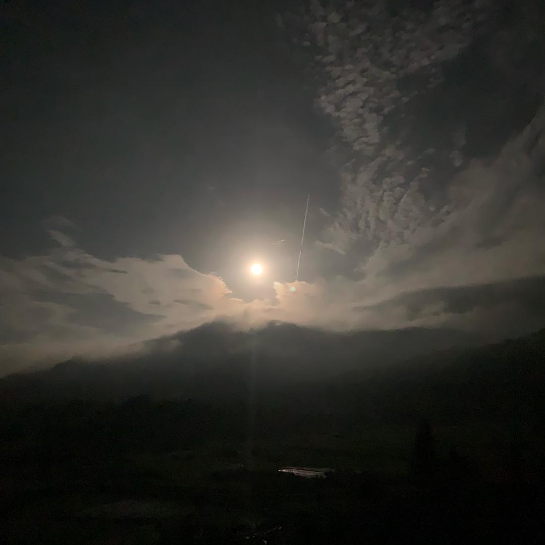 唐伯虎拖冰箱