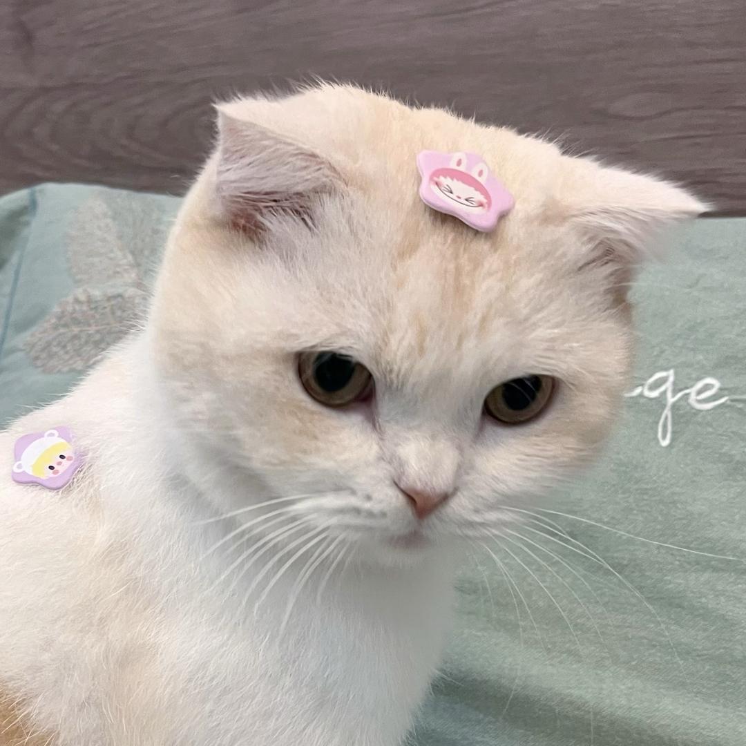 Q.