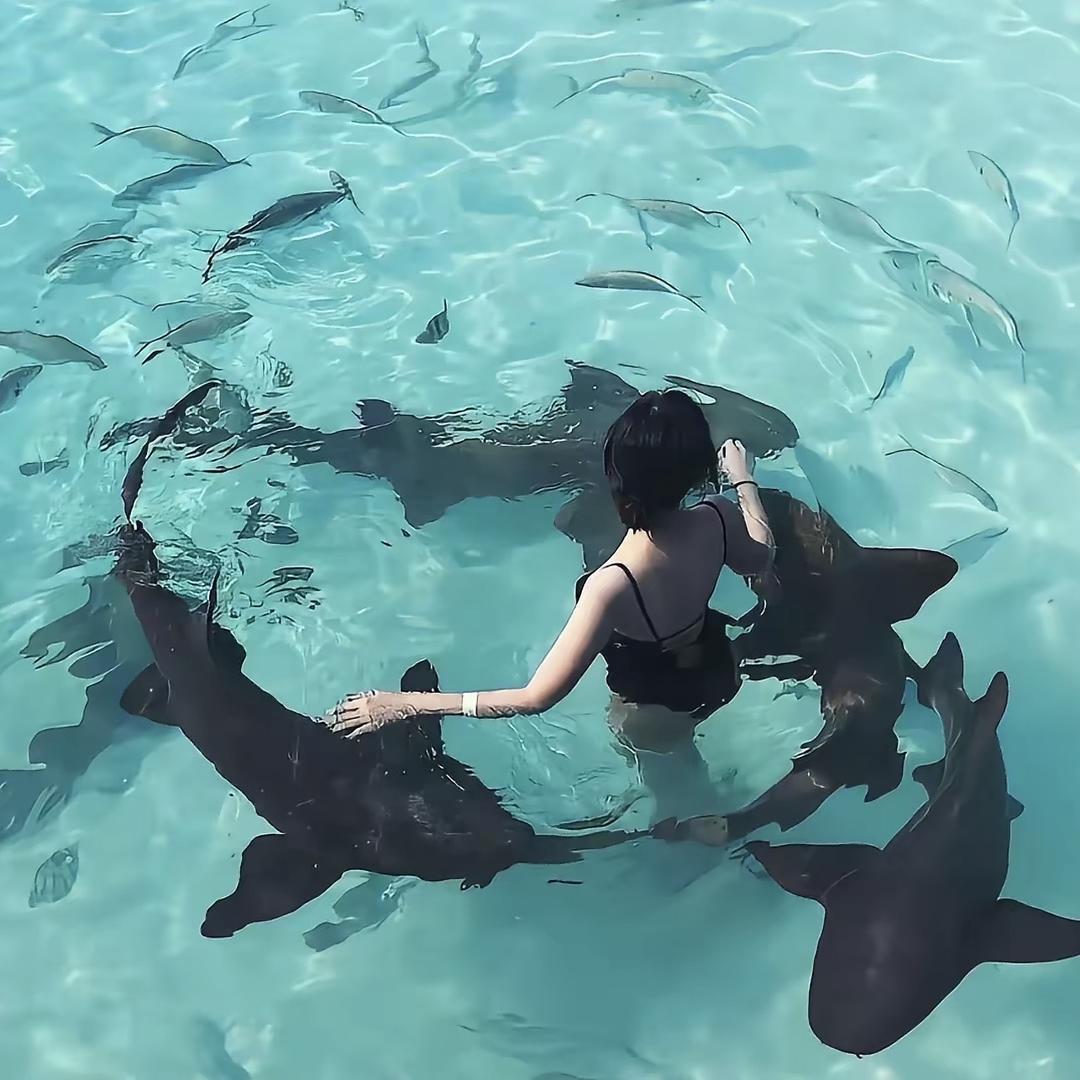 用大葱狂抽你脚底板抽的你嗷嗷叫唤