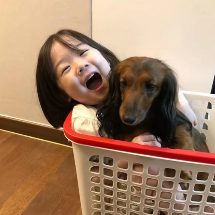薯条大大怪