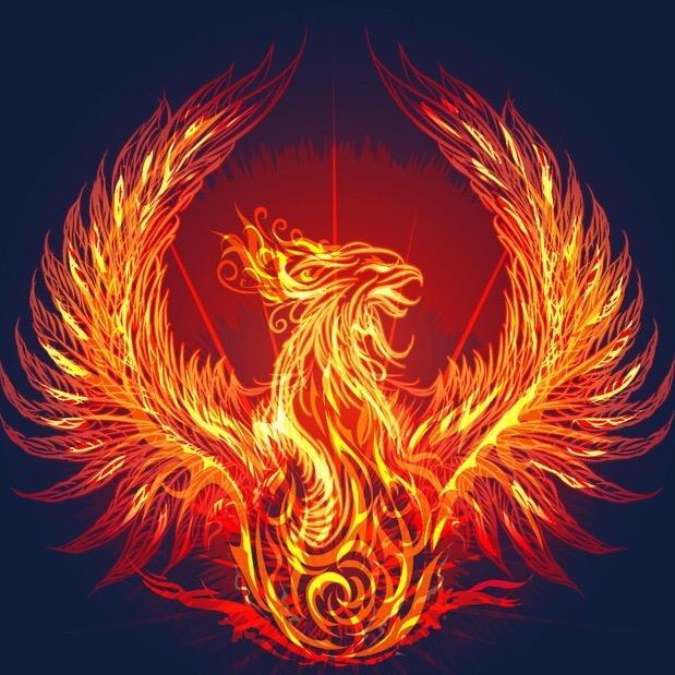 炎尧收藏年份甄选