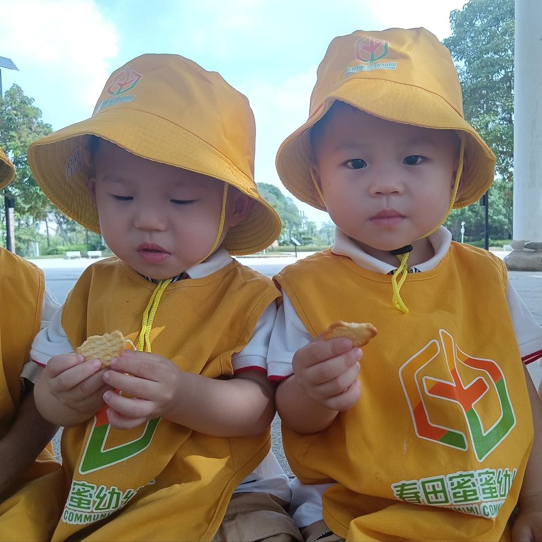 两只小团子🍼🍼