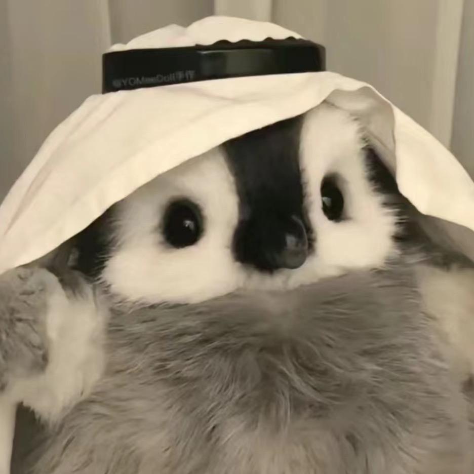 思念