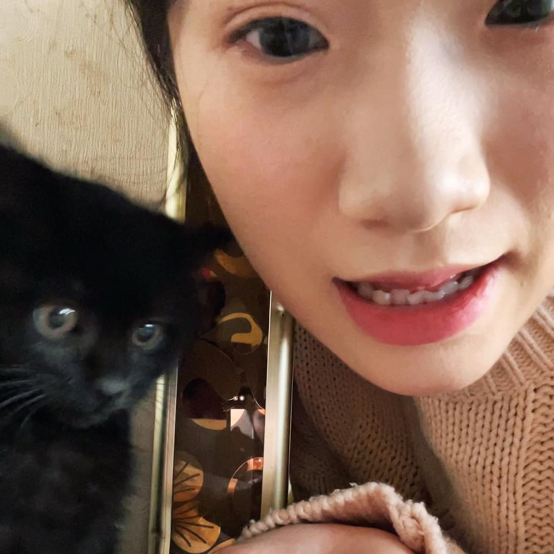 朦胧