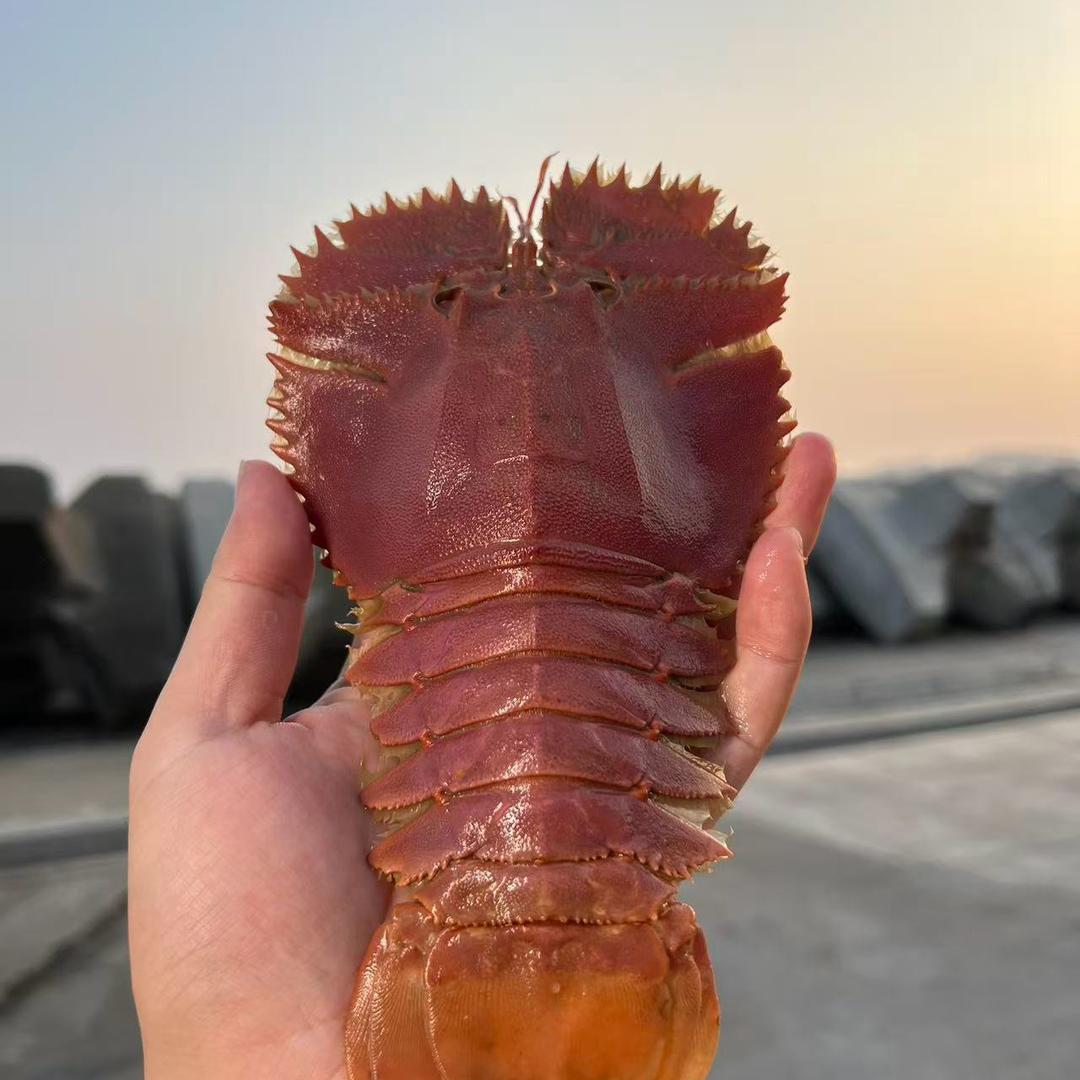 海派生鲜