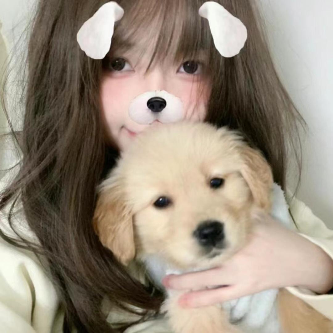蛋撻小狗；