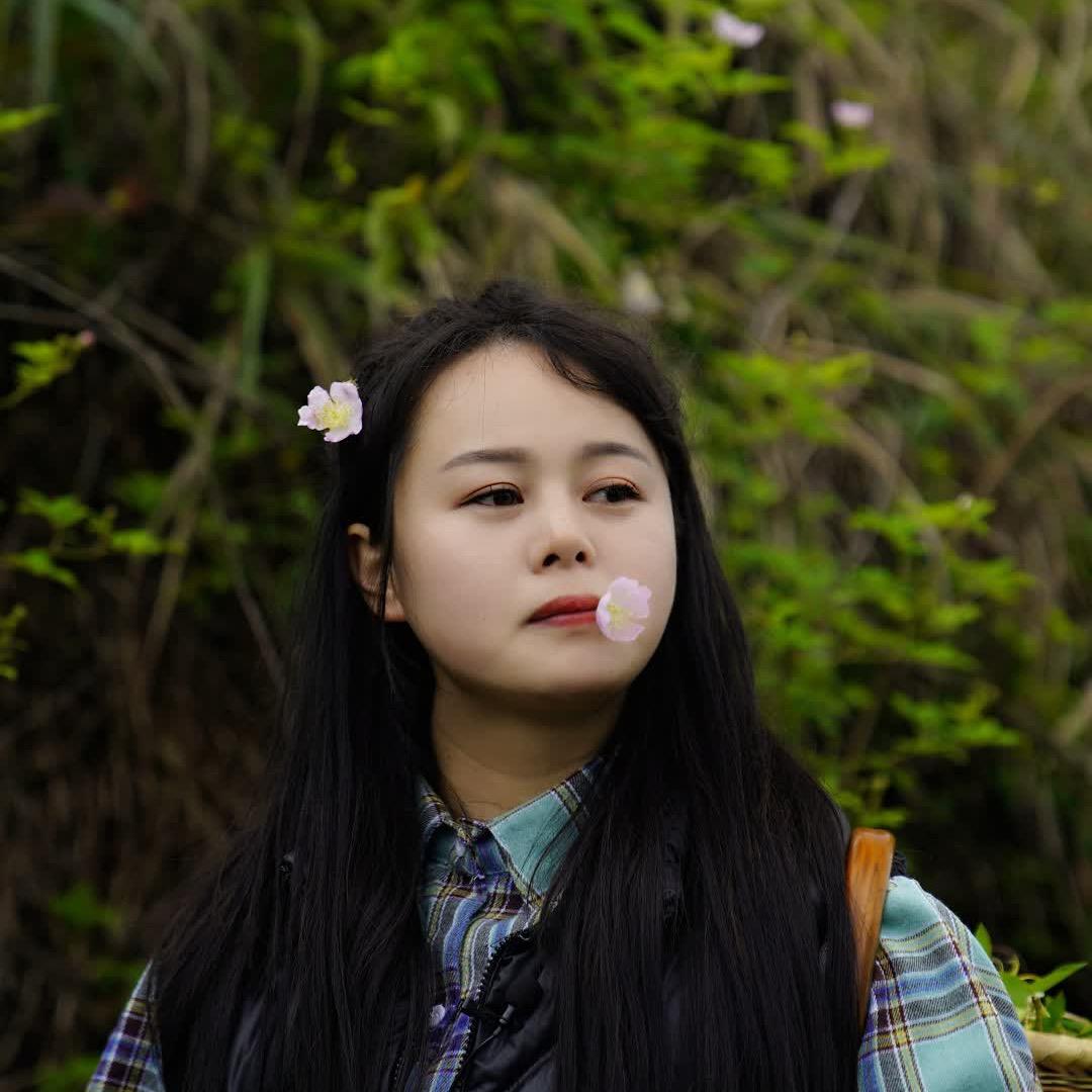 小猪种鱼