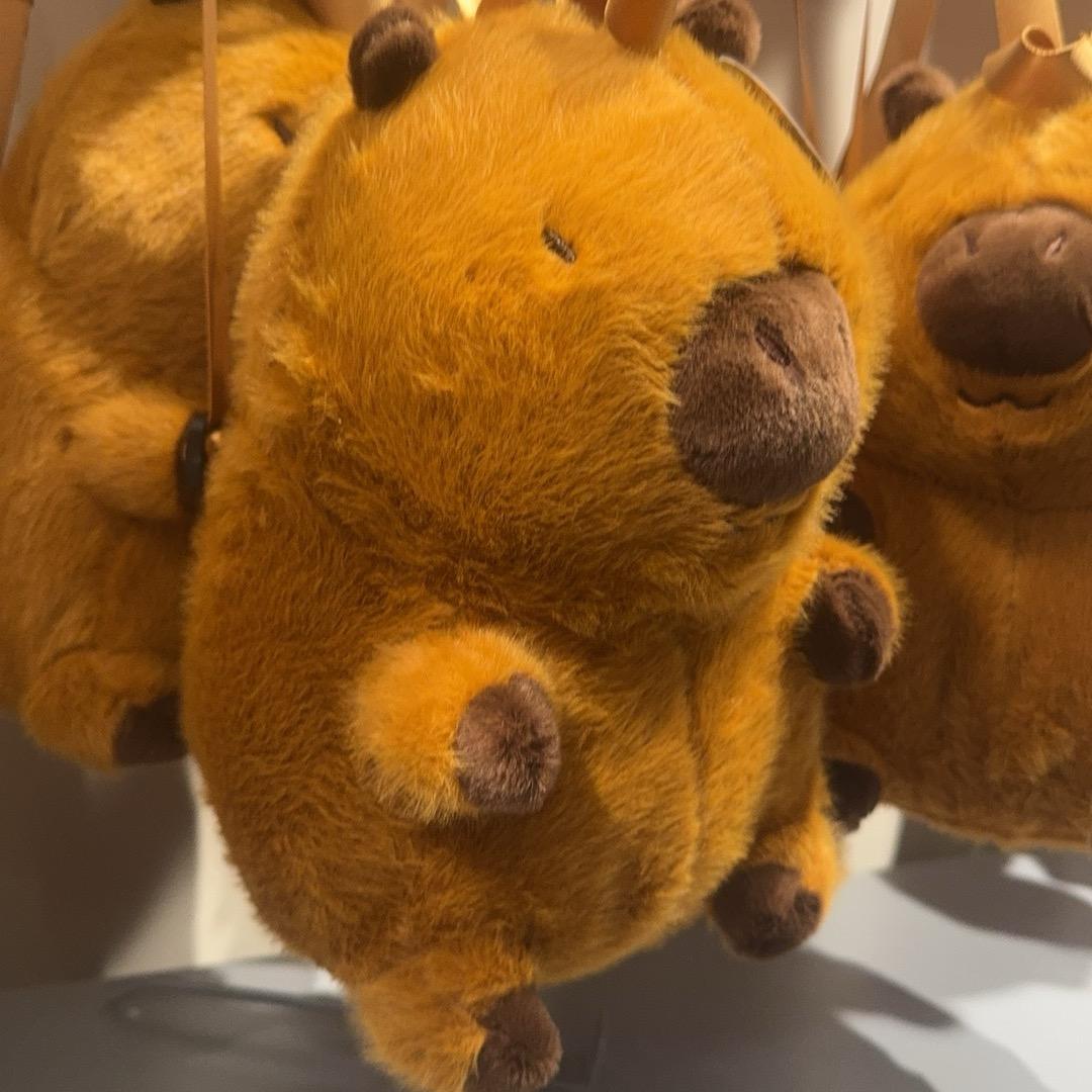 ♡ωσи∂єяfυℓ♡  ˗ˏˋ💛ˎˊ