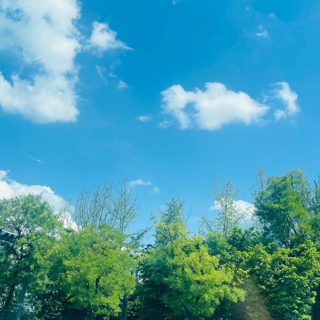 蓉城“窗”造家