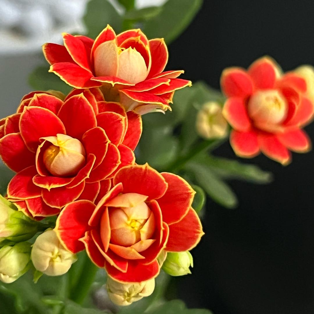 你若安好便是晴天☀️