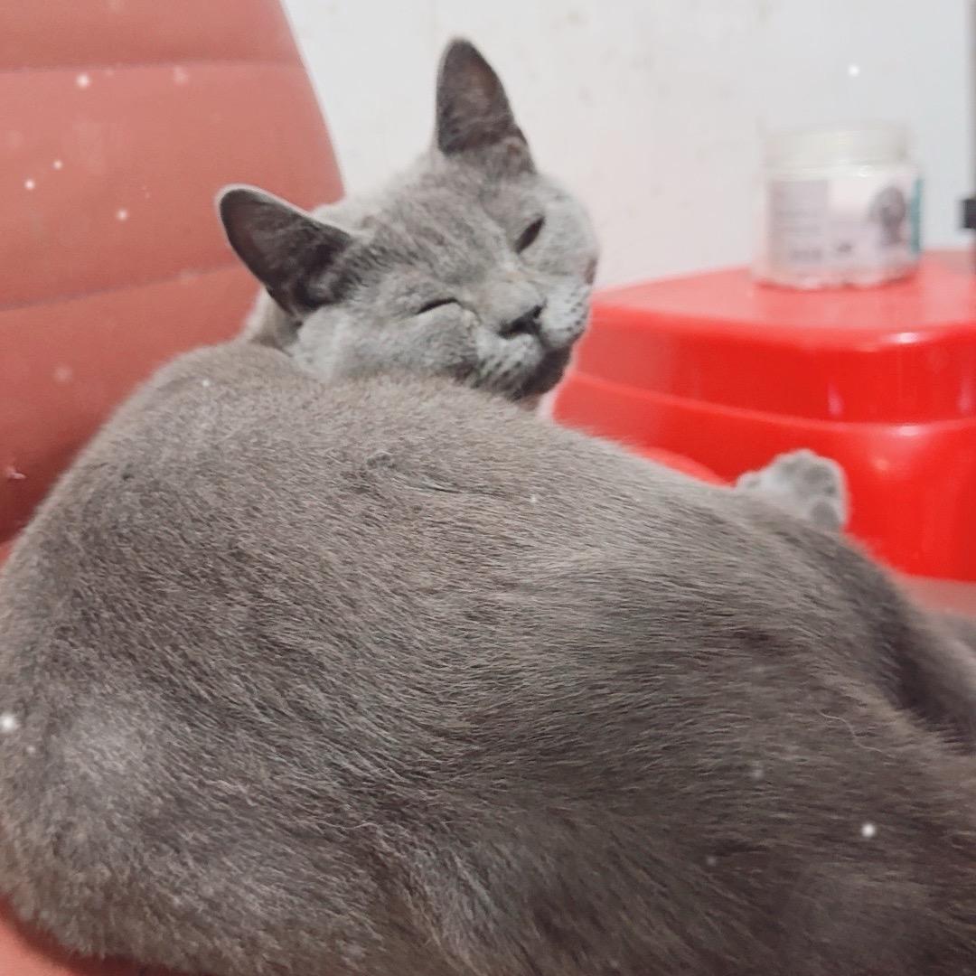 妮境