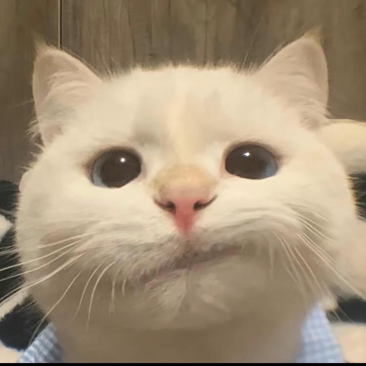 尼亚