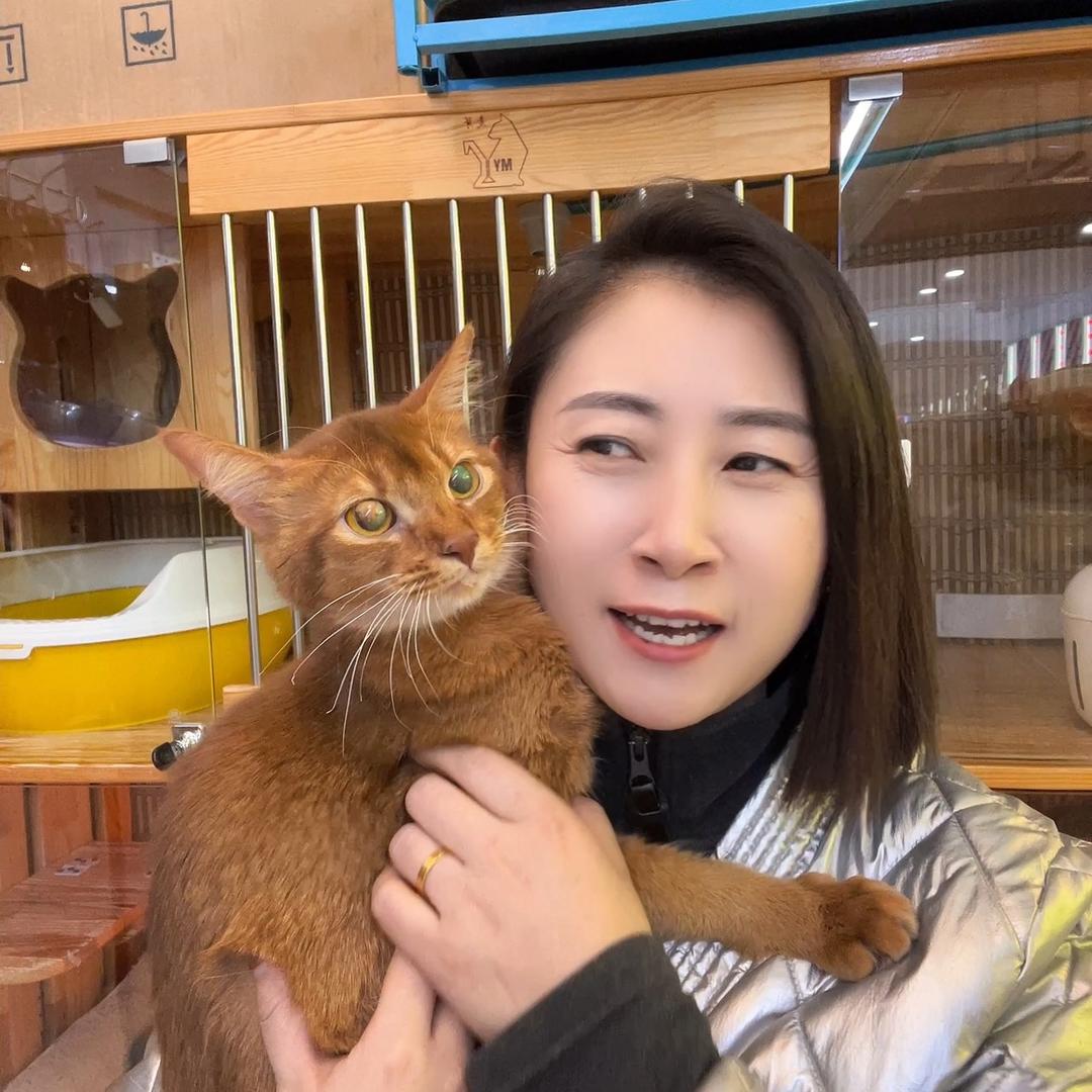 波姐说猫狗