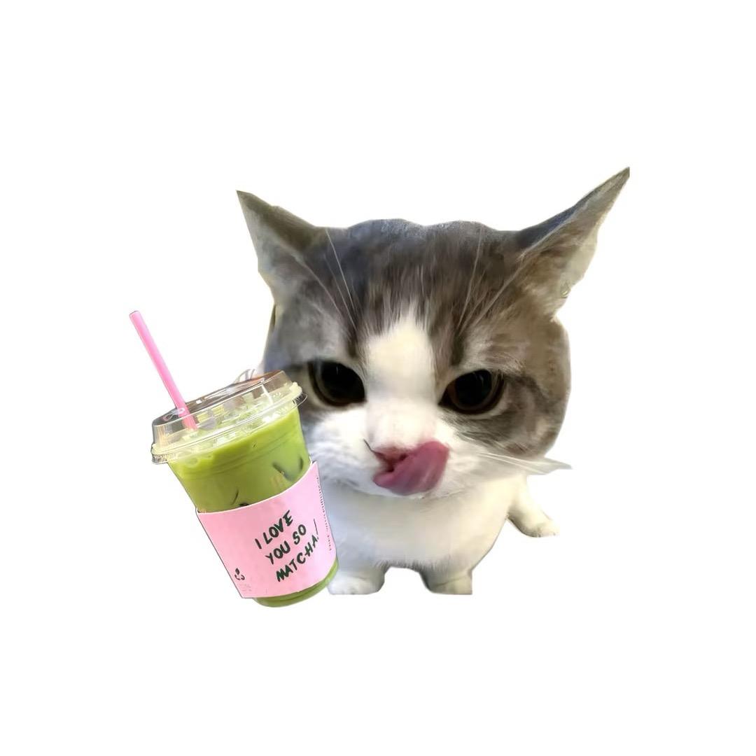 🫶