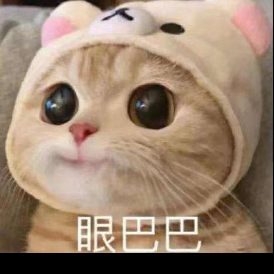 花花每天都幸运😊
