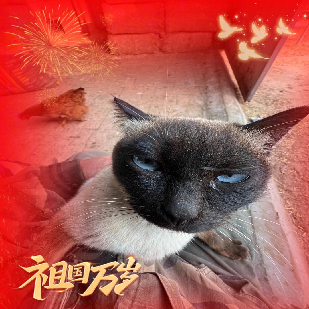 动物的春天