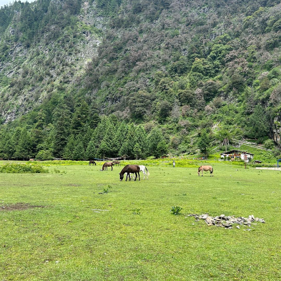 🌈🌈狂花白日梦🦊