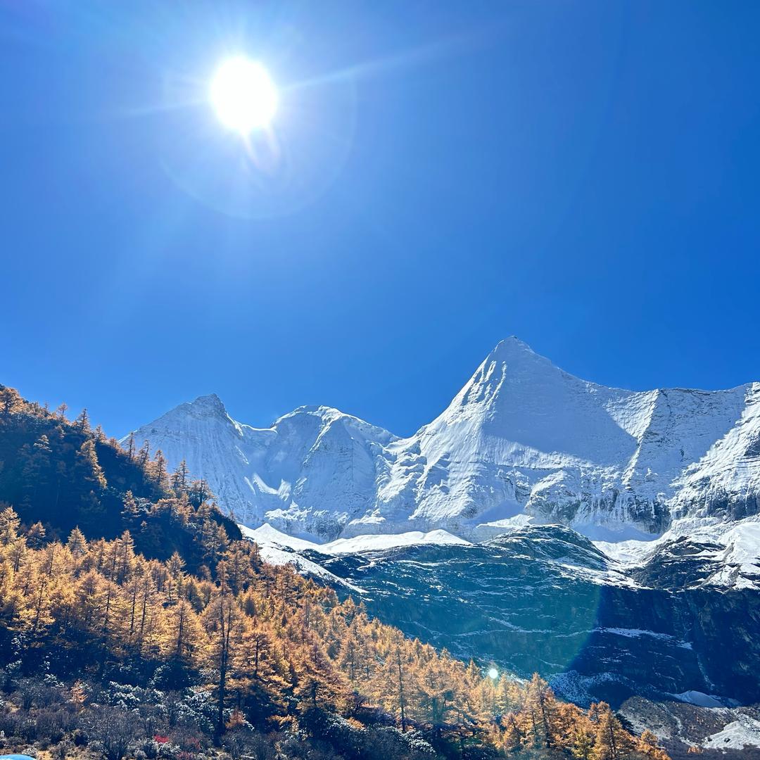 💋可❄️乐👼