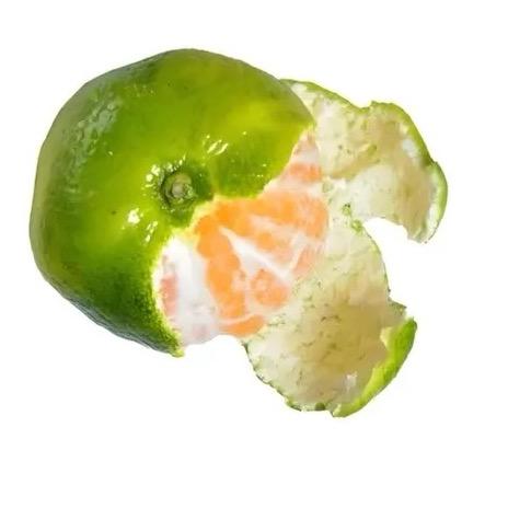 🍊zi