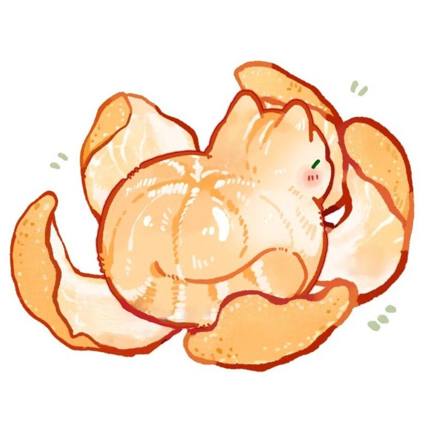一只叫橘子喵