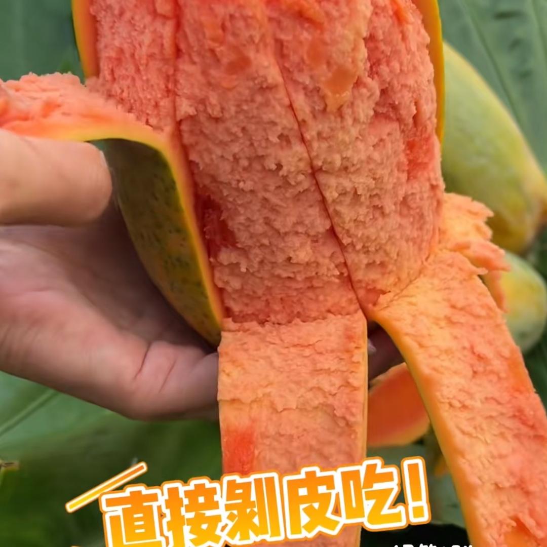 惜音丹朗园艺专卖店