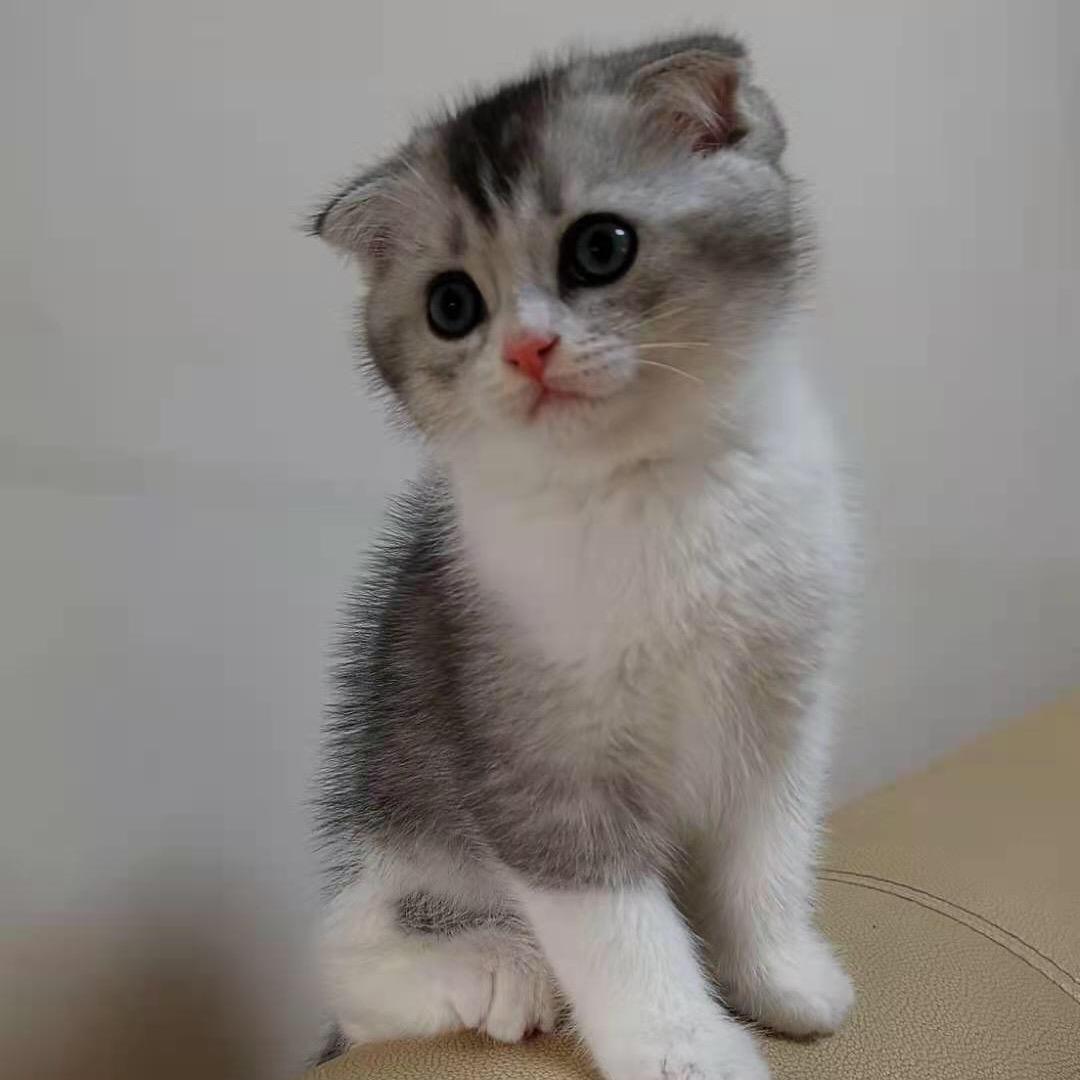我开心