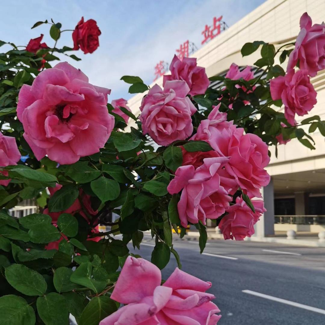 芜湖火车站西广场天顺宾馆