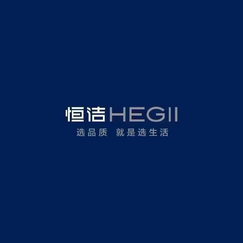 恒洁HEGII