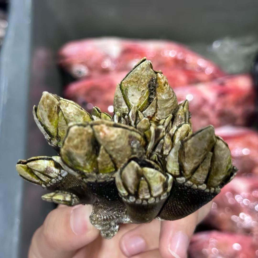 居然玩漂移（互关）