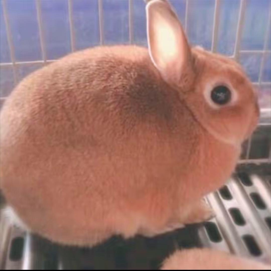瓦塔西
