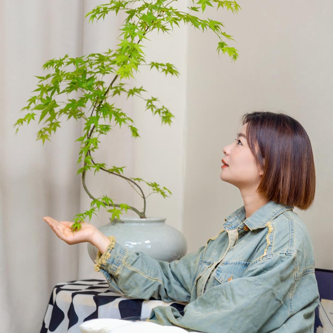 花音谷园艺旗舰店绿植