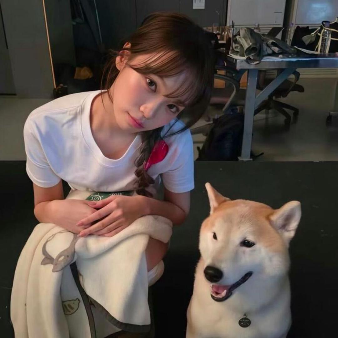 三文鱼