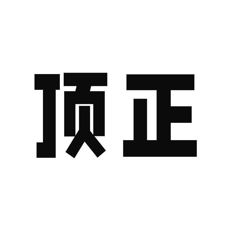 顶正个人护理旗舰店