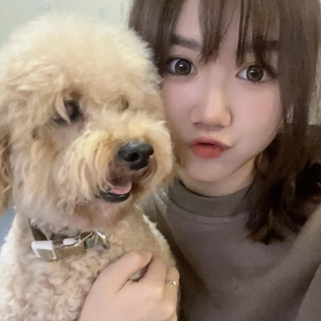 悲伤小羊不悲伤