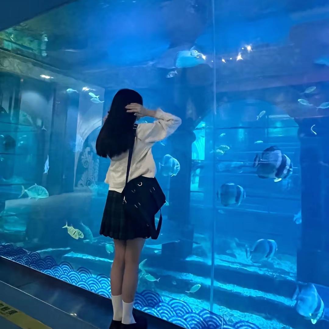 鸠鸠